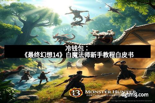 冷钱包：《最终幻想14》白魔法师新手教程白皮书